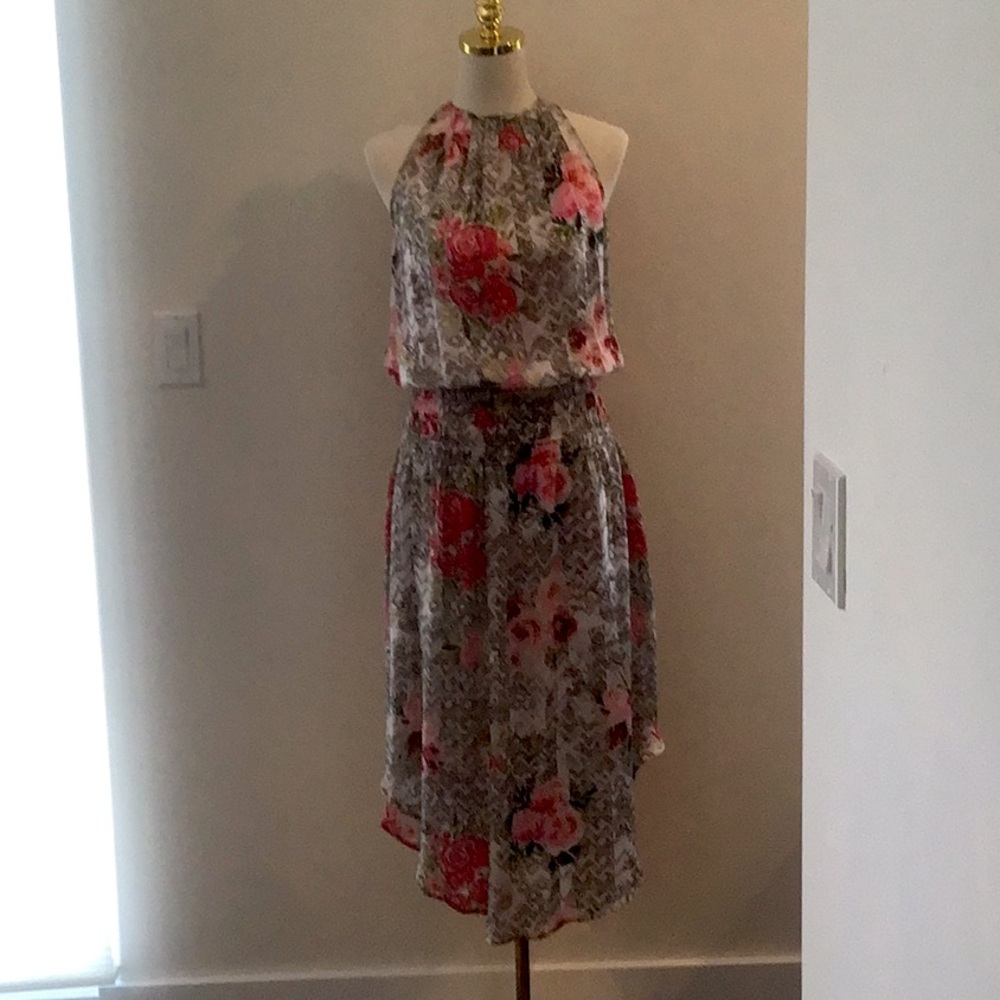 Tolani cupro silk floral print sleeveless dress with high low hem